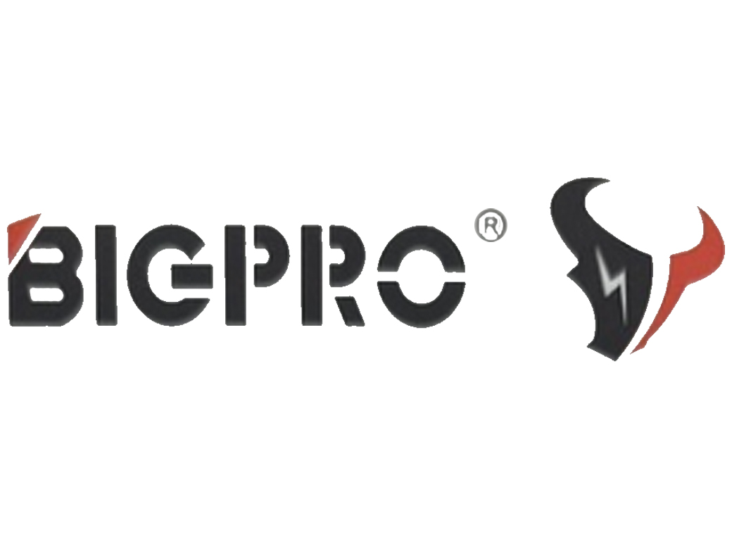 Bigpro
